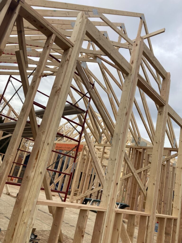 Denver home addition wood framing under construction